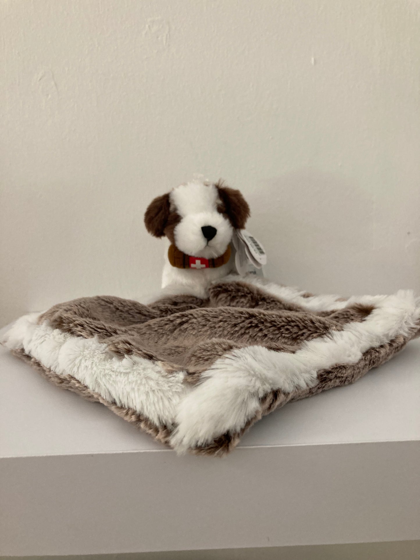 DOUDOU ST-BERNARD