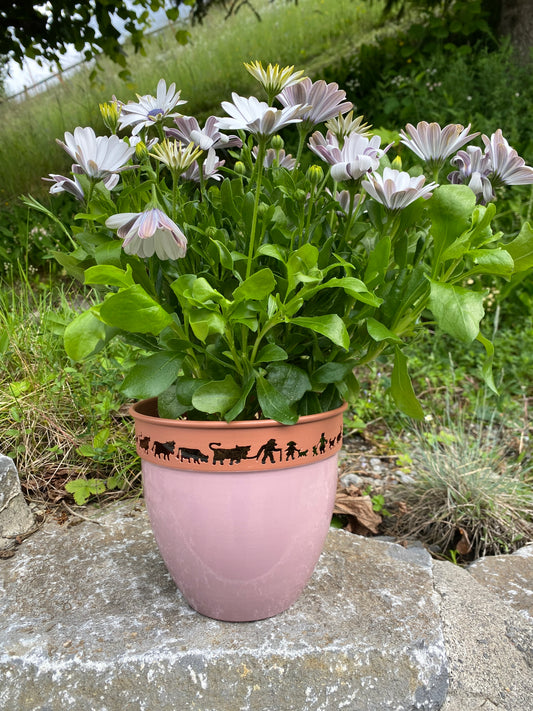 CACHE POT
